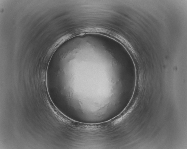 X0000083020849200702161614