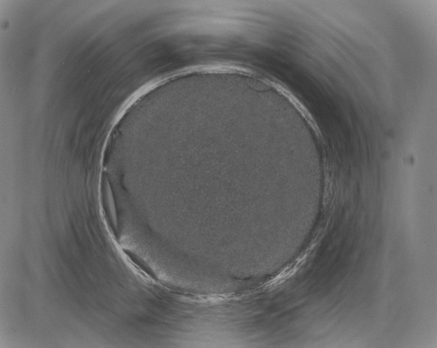 X0000083020853200702161614