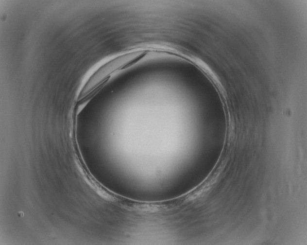 X0000083020862200702161614
