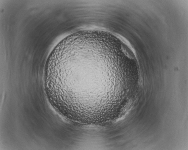X0000083020863200702161615