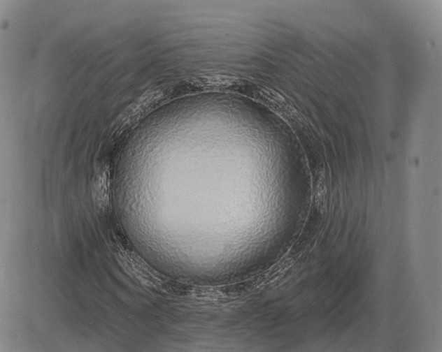 X0000083020866200702161614