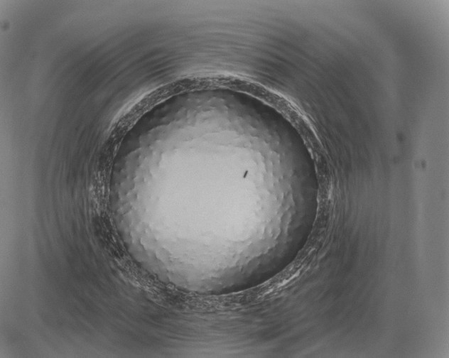 X0000083020871200702161614