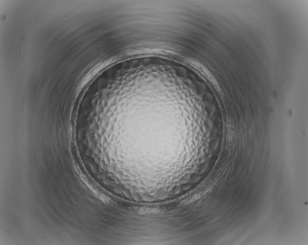X0000083020890200702161613