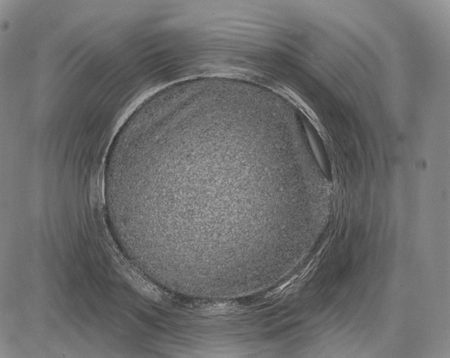 X0000083020891200702161613