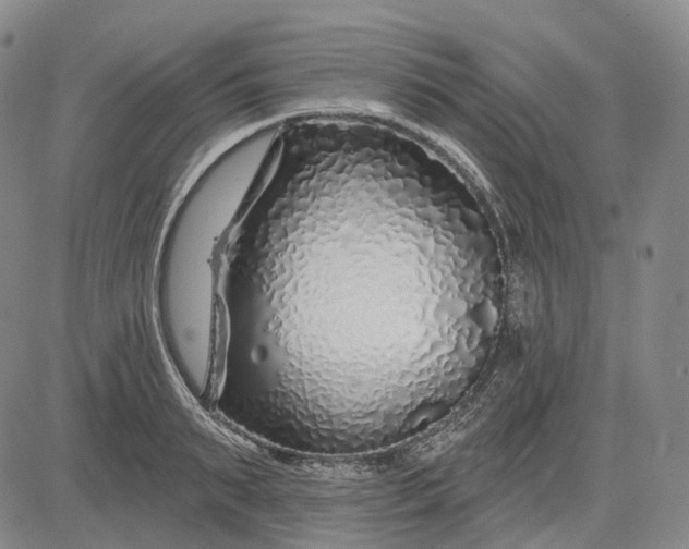 X0000083020895200702161613