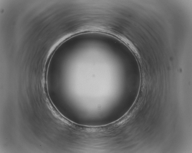 X0000083020904200702161613