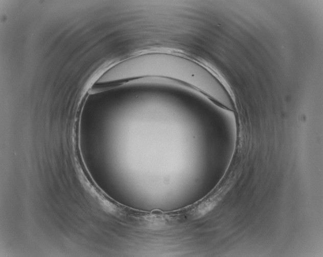 X0000083020906200702161613