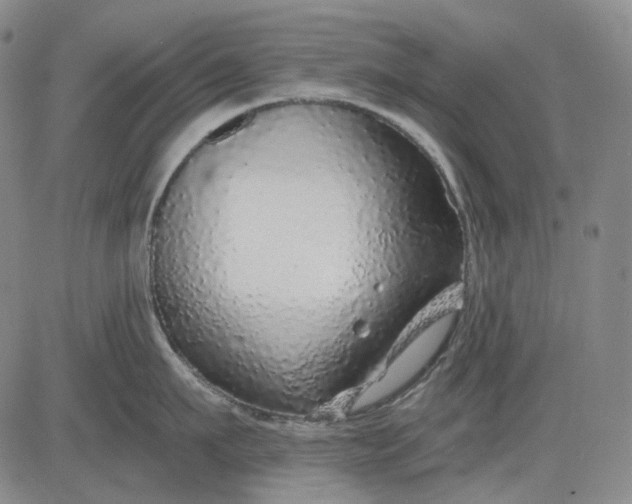 X0000083020911200702161613