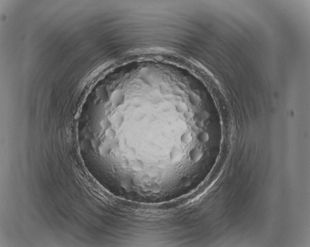 X0000083020921200702161612
