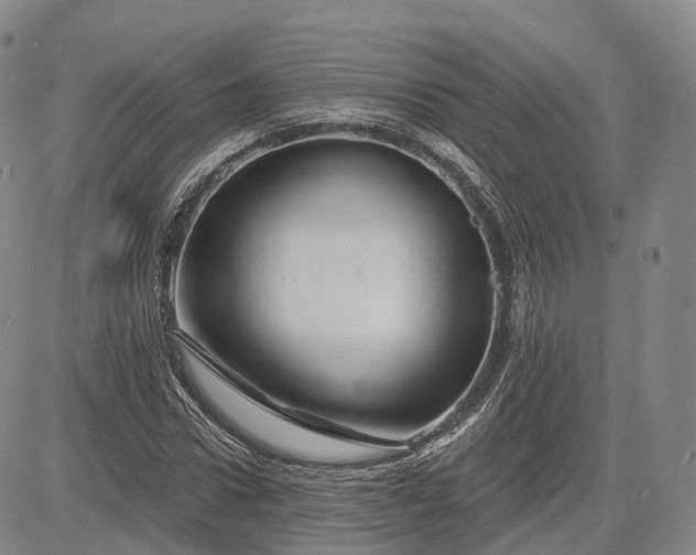 X0000083020922200702161612