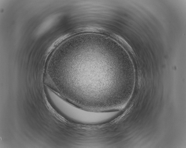 X0000083020938200702161613