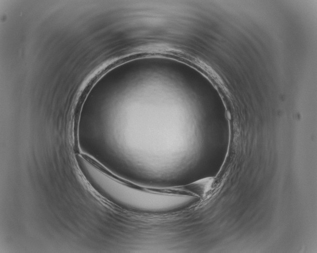 X0000083020939200702161613