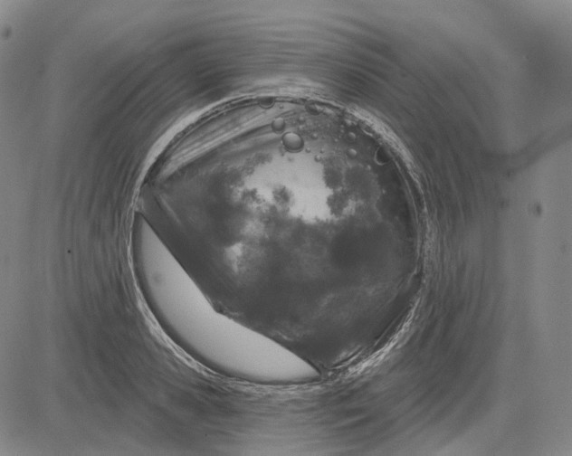 X0000083020941200702161613
