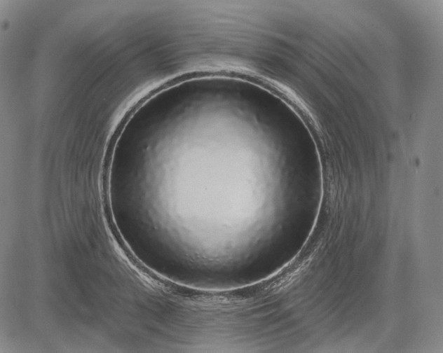 X0000083020943200702161613