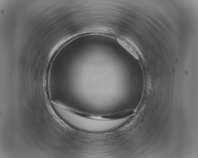X0000083020944200702161613