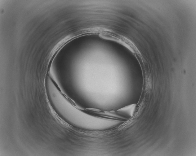 X0000083020946200702161613