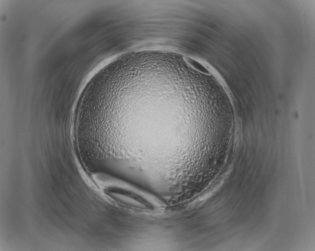 X0000083020957200702161613