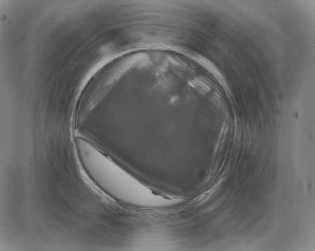 X0000083020958200702161613