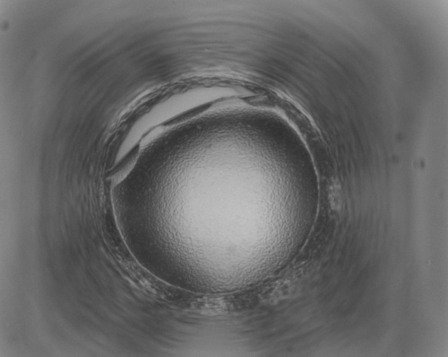 X0000083020968200702161612