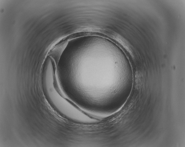 X0000083020972200702161612