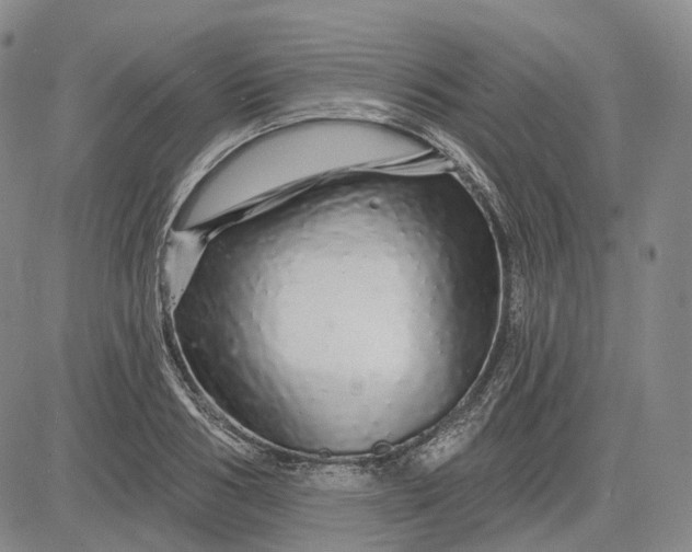 X0000083020986200702161612