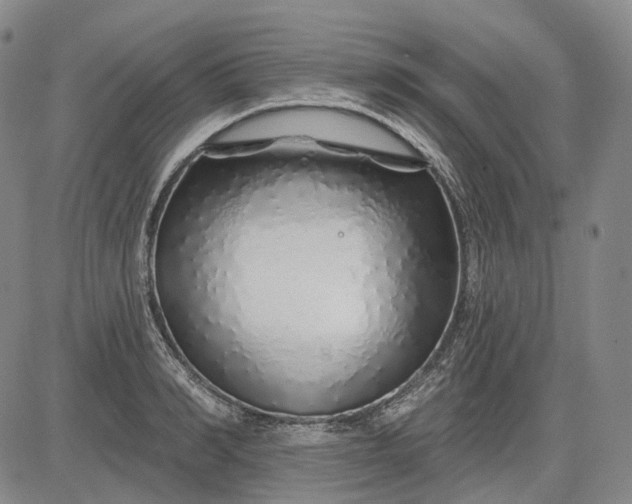 X0000083020990200702161612