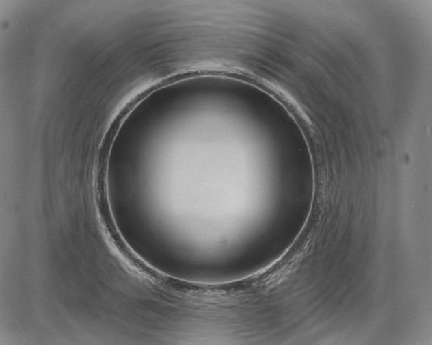 X0000083020991200702161612