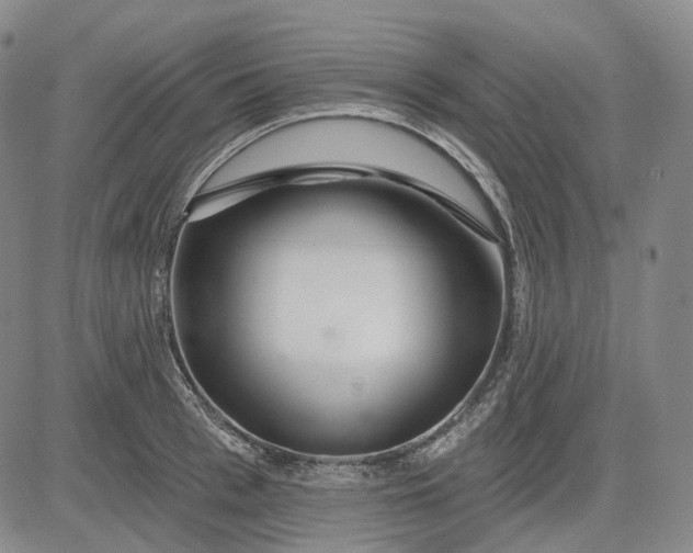 X0000083020993200702161612
