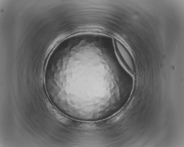 X0000083020994200702161612