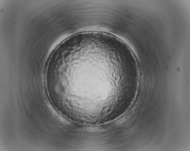 X0000083020998200702161612