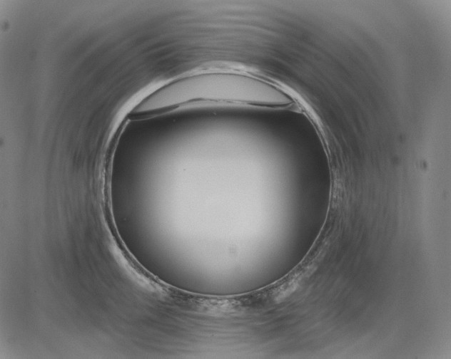 X0000083021003200702161611