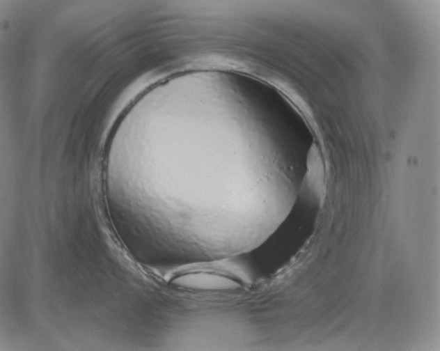 X0000083021008200702161611