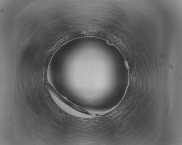 X0000083021012200702161611