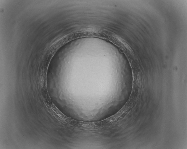 X0000083021015200702161611