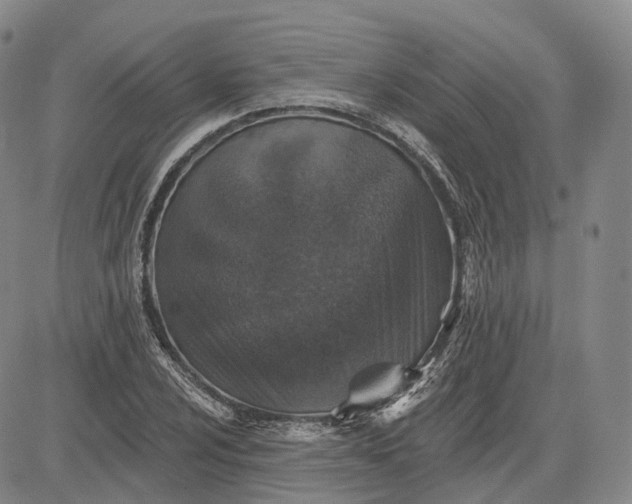 X0000083021024200702161611