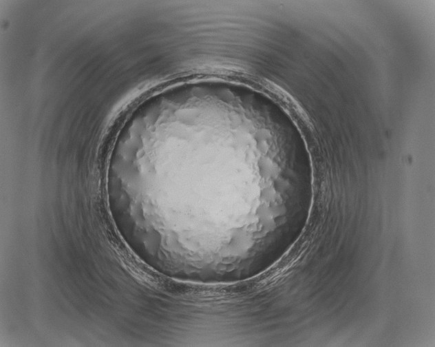 X0000083021027200702161611