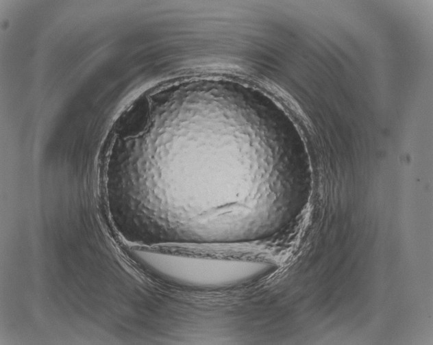 X0000083021031200702161611