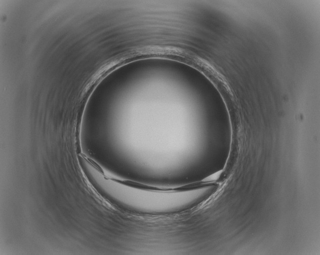 X0000083021033200702161611