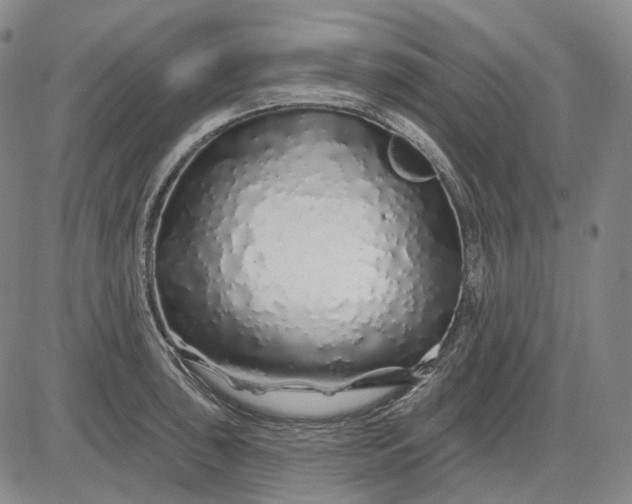 X0000083021043200702161611