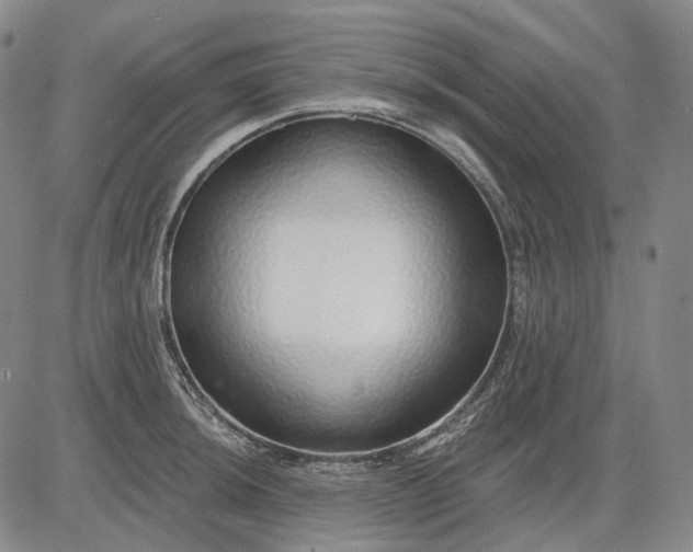 X0000083021044200702161611
