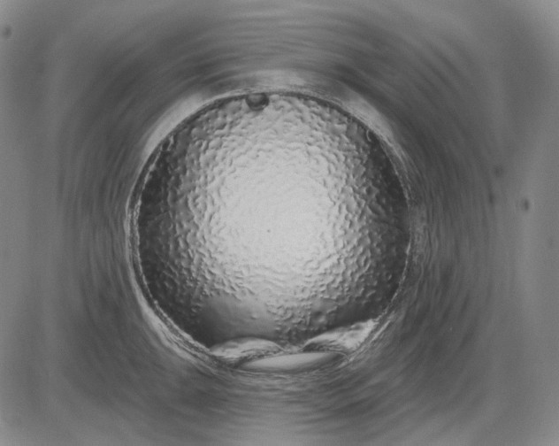 X0000083021047200702161611