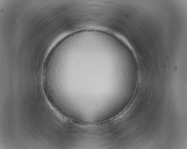 X0000083021048200702161611