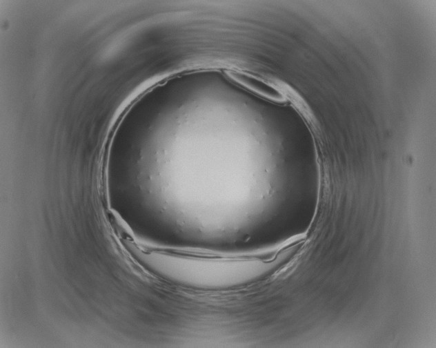 X0000083021052200702161611