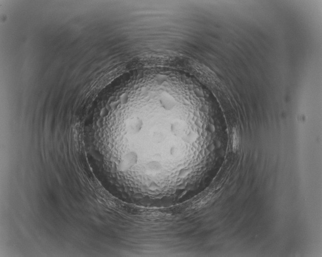 X0000083021059200702161611