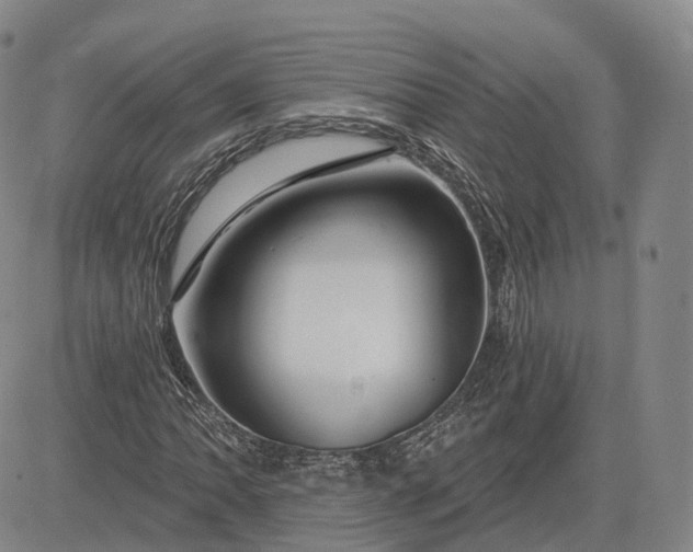 X0000083021062200702161611