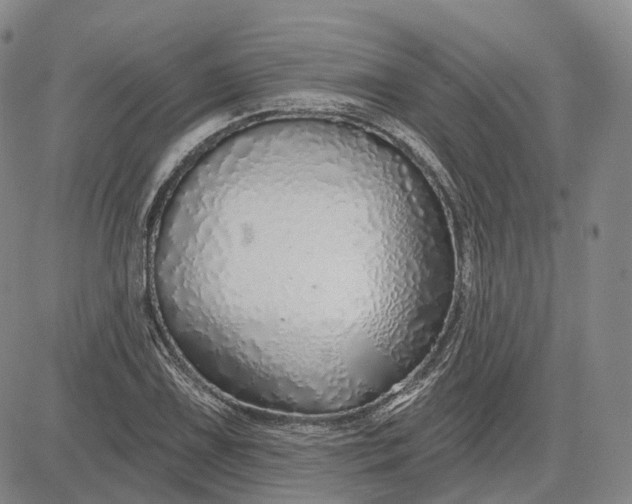 X0000083021075200702161610