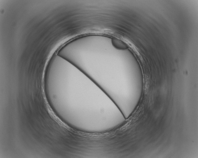 X0000083021080200702161610