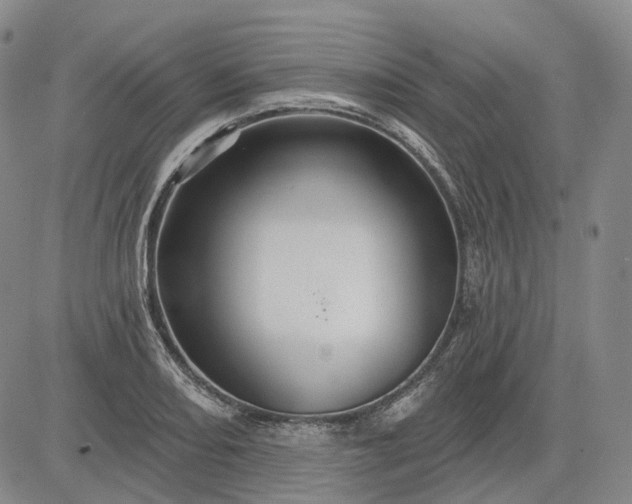 X0000083021082200702161610