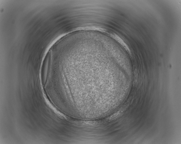 X0000083021084200702161610