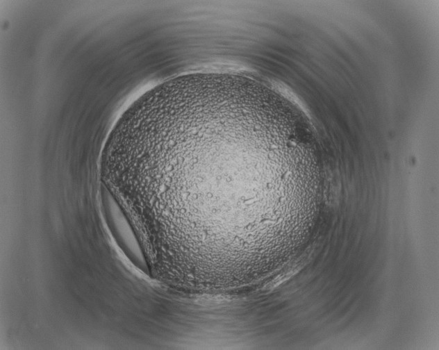 X0000083021087200702161610